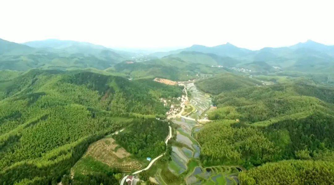 山林所林业